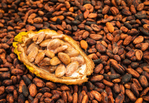 Not So Sweet: Expensive Cocoa’s Lesson on Supply Chain Resilience